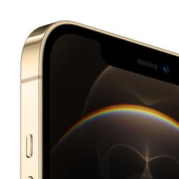 Apple iPhone 12 Pro Max 128Gb Gold (Золото)