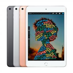 iPad mini 5 Wi-Fi + Cellular  256GB Silver (2019)