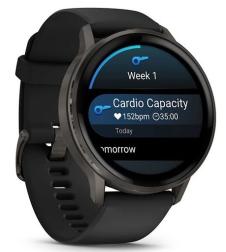 Умные часы Garmin Venu 4 45mm Slate with Black Silicone Band (010-03014-00)